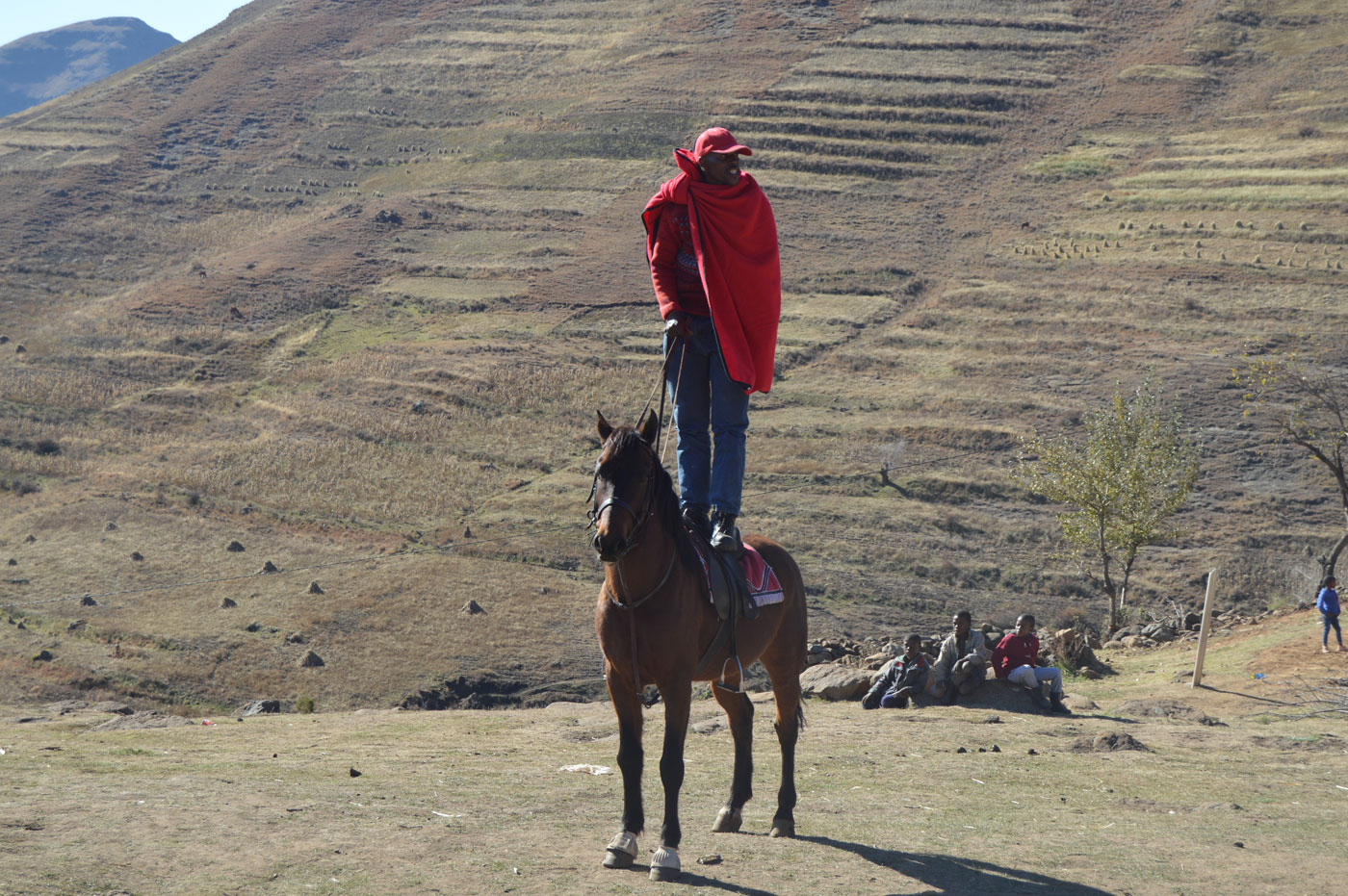Standing horse man Lesotho